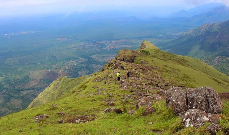 Grassy ridge trail with views over the Nilgiri hills